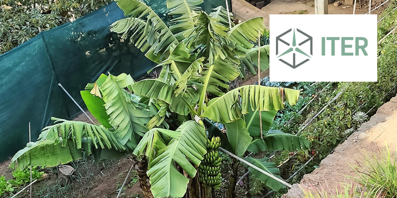 Jornadas de puertas abiertas ITER – Usar el agua con cabeza – Aplicación de la IA en agricultura. 13/11/2024. Jornada. Instituto Tecnológico y de Energías Renovables – ITER