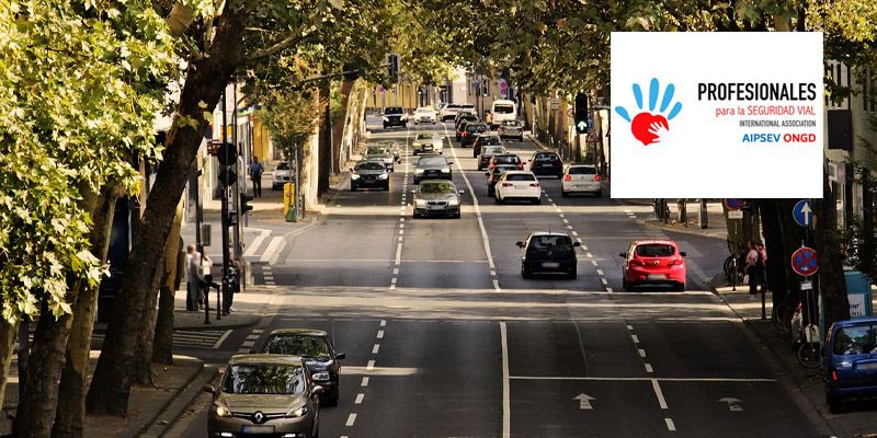 Seguridad Vial para población vulnerable. 13/11/2024 y 14/11/2024. Taller. Asociación Internacional Profesionales Seguridad Vial