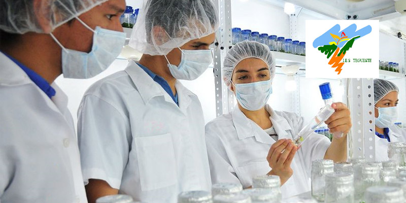 La importancia del trabajo del personal técnico de laboratorio en gestión de la calidad en laboratorios acreditados. 21/11/2024. Coloquio online. IES de Tegueste