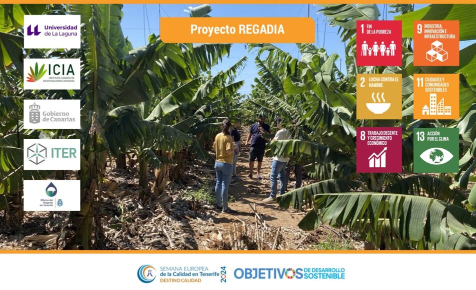 Proyecto REGADIA. ODS: 1, 2, 8, 9, 11, 13. Universidad de La Laguna (ULL), Instituto Canario de Investigaciones Agrarias (ICIA), Instituto Tecnológico y de Energías Renovables (ITER)