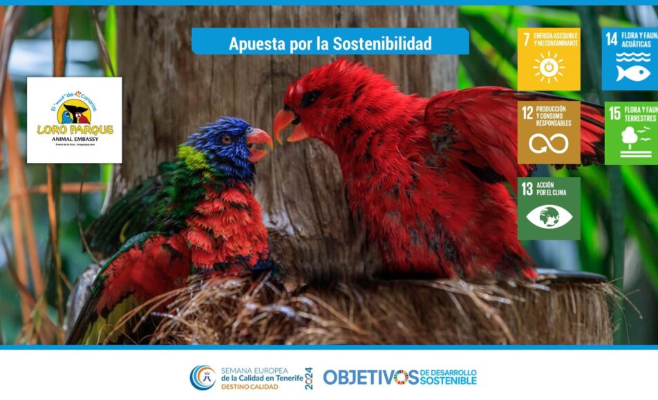 Apuesta por la Sostenibilidad. ODS: 7, 12, 13, 14, 15. Loro Parque, S.A.